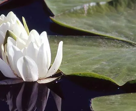 Relais Forti アパートホテル コルフィオリト