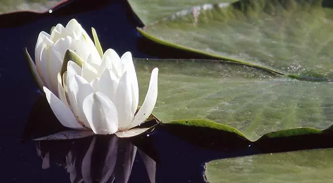 Relais Forti Aparthotel Colfiorito